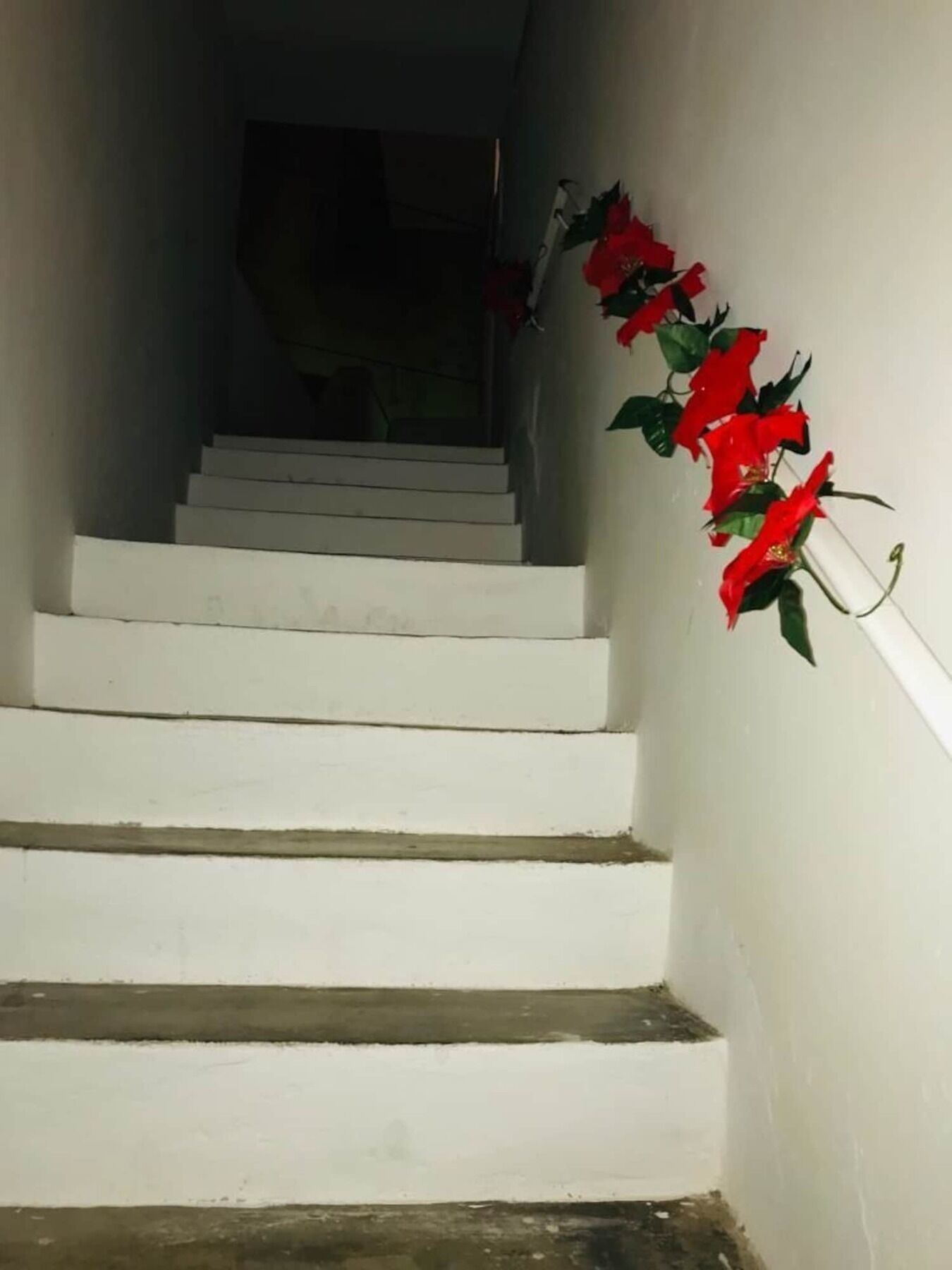 Le Stanze Di Mavi Bed and Breakfast Gravina in Puglia Buitenkant foto